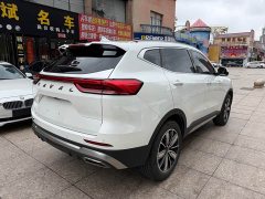 Haval H6 2023 National Trend Edition 1.5T Automatic Champion Version - ფოტო 8