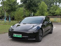 Tesla Model 3 2022 Rear-Wheel Drive - ფოტო 2