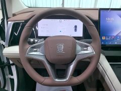 BMW Summer DM-i 1.5T 180km Exceed - ფოტო 18