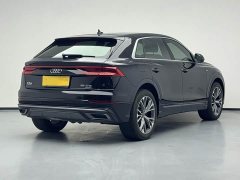 Audi Q8 55 TFSI Dynamic Prestige - ფოტო 17