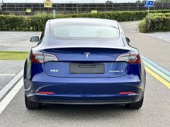 Tesla Model 3 Facelift Standard Range RWD Upgrade 3D1 - ფოტო 6