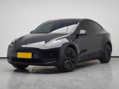 Tesla Model Y Rear-Wheel Drive - ფოტო 1