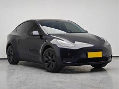 Tesla Model Y Rear-Wheel Drive - ფოტო 3