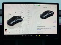 Tesla Model Y Rear-Wheel Drive - ფოტო 8