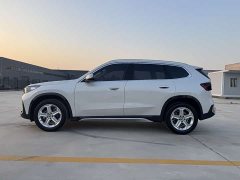 BMW X1 sDrive20Li X Design Package - ფოტო 4