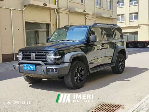 2021 Tank 300 Off-Road Edition 2.0T Challenger - ავტომობილი ჩინეთიდან