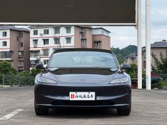 Tesla Model 3 2023 Long Range All-Wheel Drive - ფოტო 2