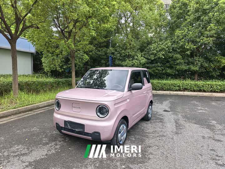 Geely Panda 2024 Panda Mini 200km Endurance Edition - ავტომობილი ჩინეთიდან