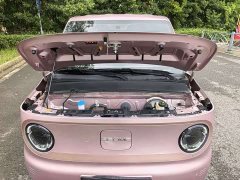 Geely Panda 2024 Panda Mini 200km Endurance Edition - ფოტო 13