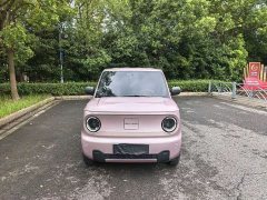 Geely Panda 2024 Panda Mini 200km Endurance Edition - ფოტო 2