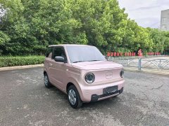 Geely Panda 2024 Panda Mini 200km Endurance Edition - ფოტო 3