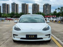 Tesla Model 3 Standard Range RWD Upgrade - ფოტო 2