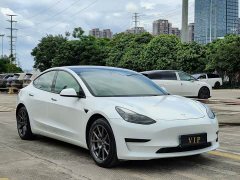 Tesla Model 3 Standard Range RWD Upgrade - ფოტო 3