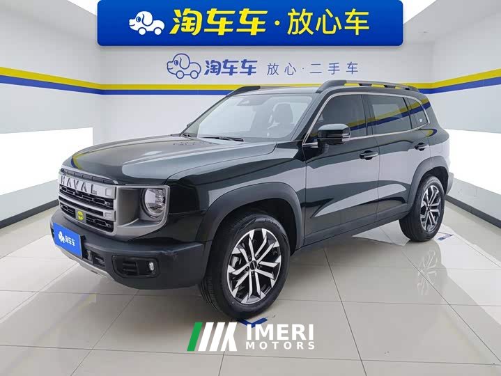 Great Wall Dachshund 1.5T DCT Border Collie Edition