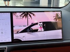 Li Auto L6 Pro Smart Refresh Edition - ფოტო 13