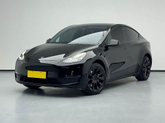 Tesla Model Y Long Range All-Wheel Drive 3D7 - ფოტო 1