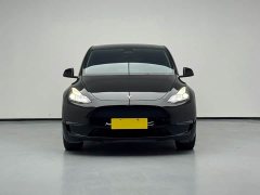 Tesla Model Y Long Range All-Wheel Drive 3D7 - ფოტო 2