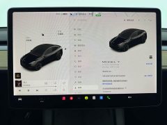 Tesla Model Y Long Range All-Wheel Drive 3D7 - ფოტო 8