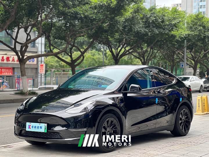 Tesla Model Y Standard Range RWD - ავტომობილი ჩინეთიდან