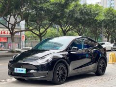 Tesla Model Y Standard Range RWD - ფოტო 1