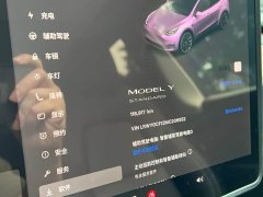 Tesla Model Y Standard Range RWD - ფოტო 12