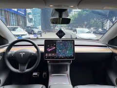 Tesla Model Y Standard Range RWD - ფოტო 8