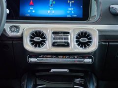 Mercedes-Benz G-Class G 500 - ფოტო 16