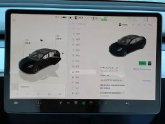 Tesla Model 3 Performance All-Wheel Drive - ფოტო 17