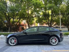 Tesla Model 3 Performance All-Wheel Drive - ფოტო 7