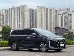 Toyota Summer DM-i 1.5T 180km Exceed - ფოტო 3