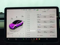 Tesla Model Y 2022 Facelift Rear-Wheel Drive - ფოტო 18