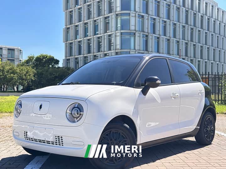 ORA Black Cat 301km Base - ავტომობილი ჩინეთიდან