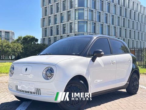 2021 ORA Black Cat 301km Base - ავტომობილი ჩინეთიდან