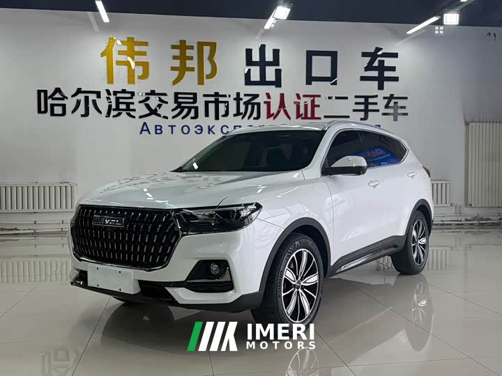 Haval H6 National Trend Edition 1.5T Automatic Champion Version - ავტომობილი ჩინეთიდან