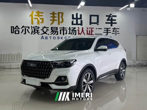 2023 Haval H6 National Trend Edition 1.5T Automatic Champion Version - ავტომობილი ჩინეთიდან