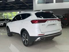 Haval H6 National Trend Edition 1.5T Automatic Champion Version - ფოტო 4