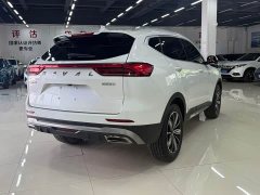 Haval H6 National Trend Edition 1.5T Automatic Champion Version - ფოტო 6