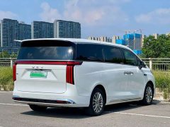 Great Wall WEY Shanshan New Energy Four-Wheel Drive Shanshan 8 - ფოტო 9