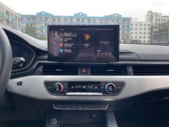 Audi A4L 2020 40 TFSI Luxury Sport - ფოტო 15