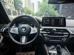 BMW 5 Series Facelift 530Li Premier M Sport Package - ფოტო 8
