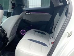 Geely Xingui Xingrui 2.0T Diesel Premium Edition - фото 5