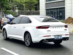 Geely Xingui Xingrui 2.0T Diesel Premium Edition - фото 9