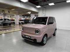 Geely Panda 2024 Panda Mini 200km Endurance Edition - ფოტო 1