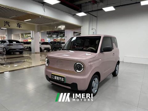 2025 Geely Panda 2024 Panda Mini 200km Endurance Edition - ავტომობილი ჩინეთიდან