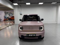 Geely Panda 2024 Panda Mini 200km Endurance Edition - ფოტო 2