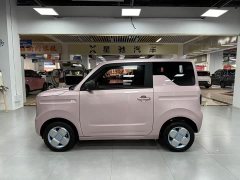 Geely Panda 2024 Panda Mini 200km Endurance Edition - ფოტო 3