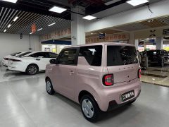Geely Panda 2024 Panda Mini 200km Endurance Edition - ფოტო 4