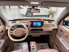 Geely Panda 2024 Panda Mini 200km Endurance Edition - ფოტო 8