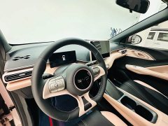 BYD Seagull 2025 405km Flying Edition - ფოტო 13