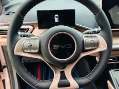 BYD Seagull 2025 405km Flying Edition - ფოტო 15